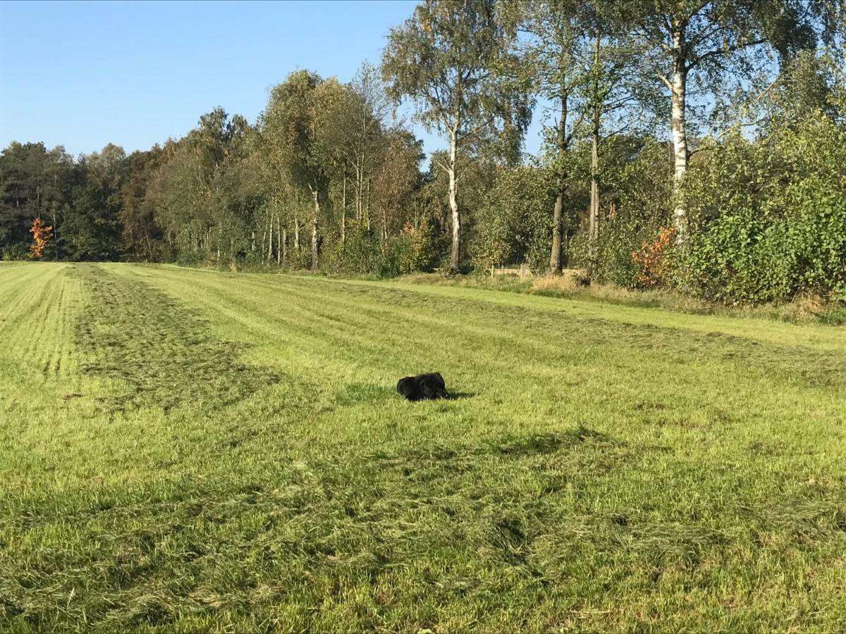 Ferienwohnung Am Komisenpad Sudlohn Bagian luar foto